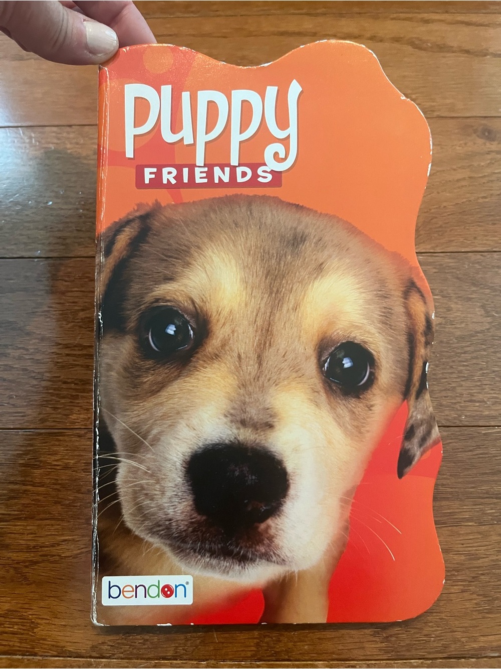Puppy Friends Orange Puppy Board Book